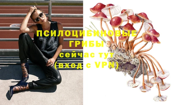 скорость mdpv Каменногорск
