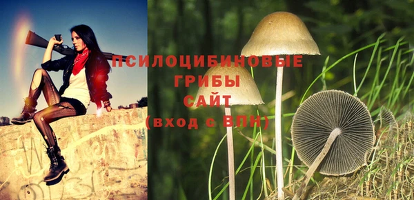 амф Каменск-Шахтинский