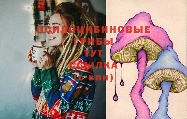 марки lsd Каменка