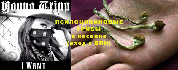 амф Каменск-Шахтинский