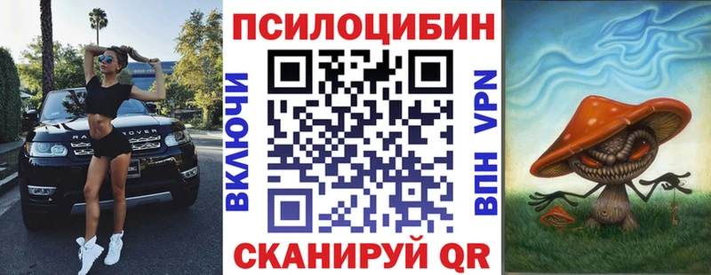 Купить  Данков  Псилоцибиновые грибы MAGIC MUSHROOMS 